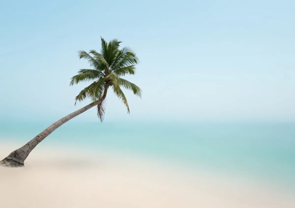 A 2003 beach snapshot: inner display wallpaper