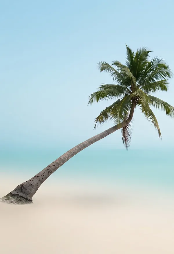 A 2003 beach snapshot: outer display wallpaper